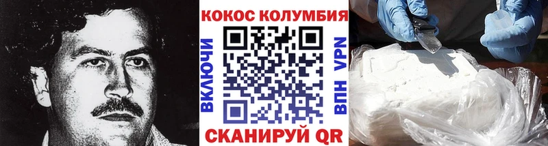 COCAIN Fish Scale  Купить закладки  Юрюзань 