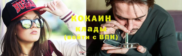 мет Новодвинск