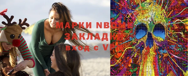 хмурый Новозыбков