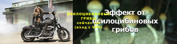 хмурый Новозыбков