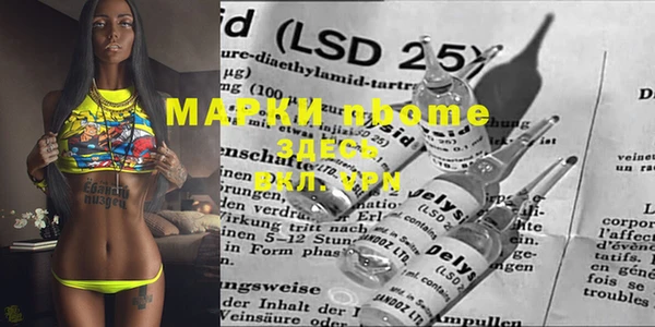 хмурый Новозыбков