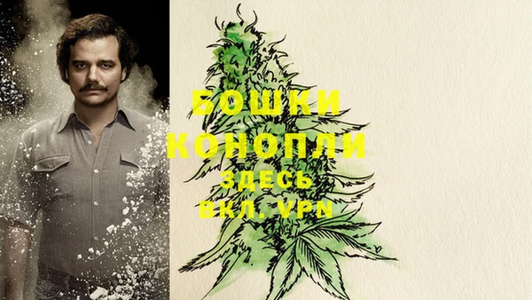 мет Новодвинск